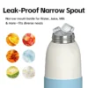 Leak-proof narrow spout design of kids stainless steel bottle for water and juice with easy ice filling.