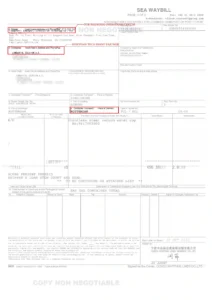 Official sea waybill for 316 stainless steel vacuum bottles shipped to Longevital Solution in Czechia via Rotterdam port.